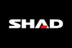 Shad